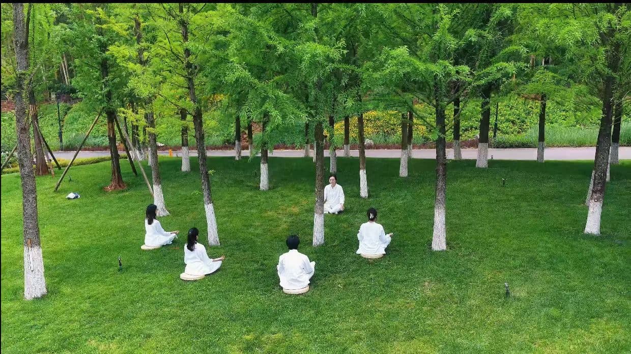 Detox & Anti-Aging Journey — 3 Days / 2 Nights