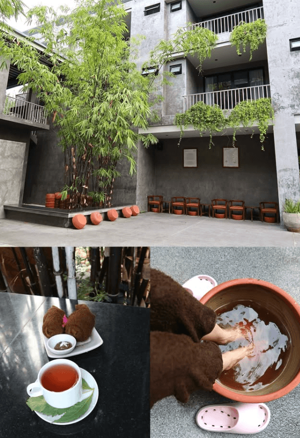 Tea in the bamboo courtyard