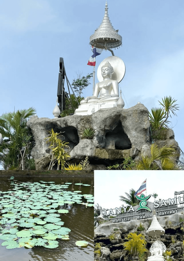 Lily pond shrine
