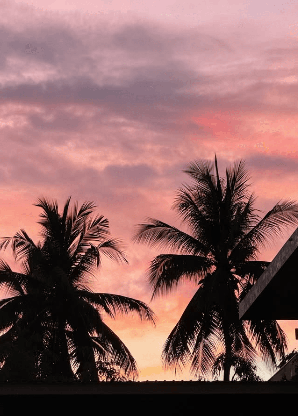 Sunset over the palms