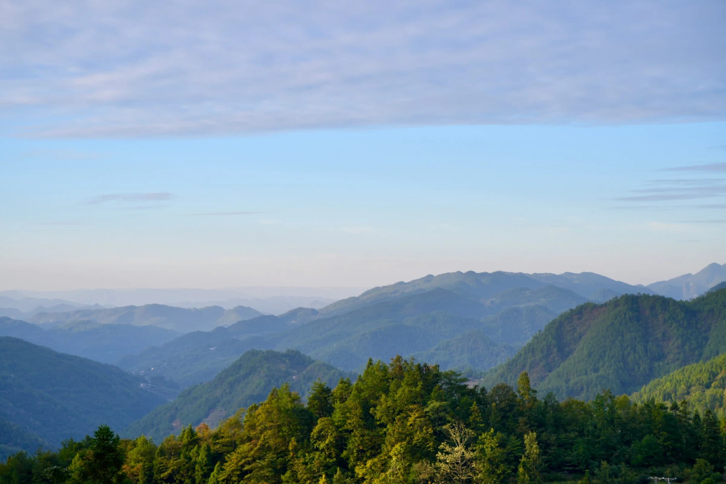 7-Day Tai Chi & Longevity