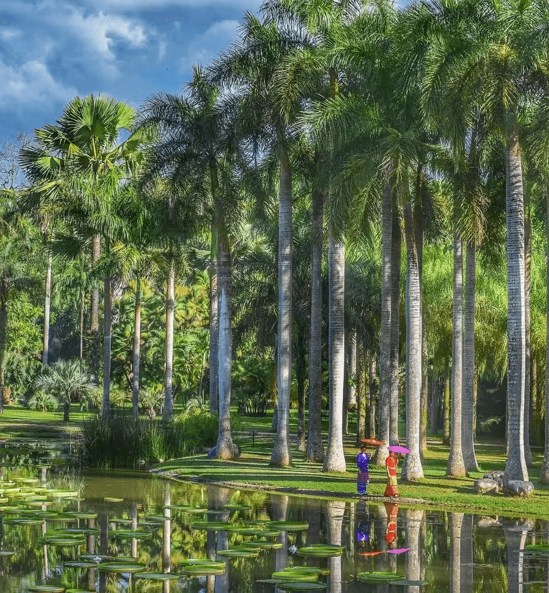 Pu'er & Xishuangbanna Combined Wellness Journey